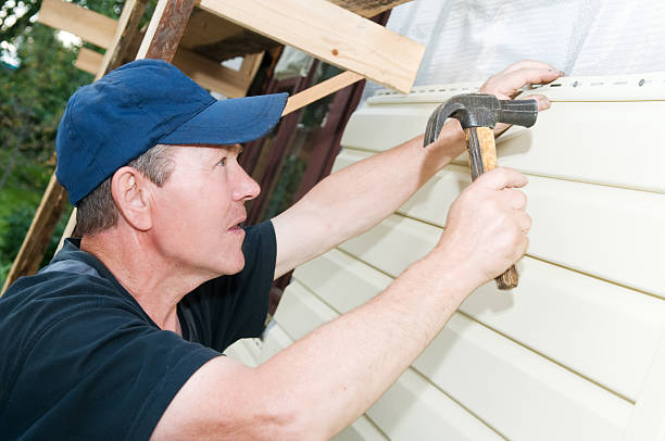 Affordable Siding Repair and Maintenance Services in Mountain View, AR